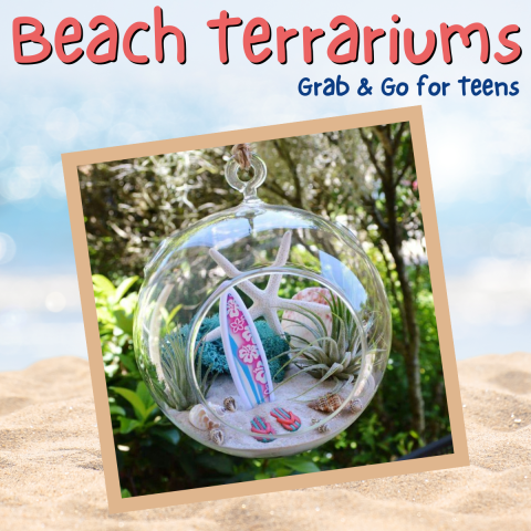 beach terrarium on sandy background