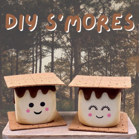 diy wooden s'mores